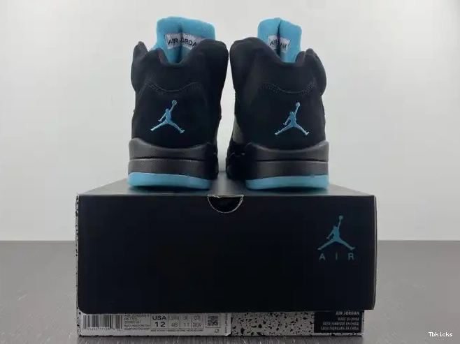 Reps TBK 5 Aqua Jordan Air DD0587-047 0611